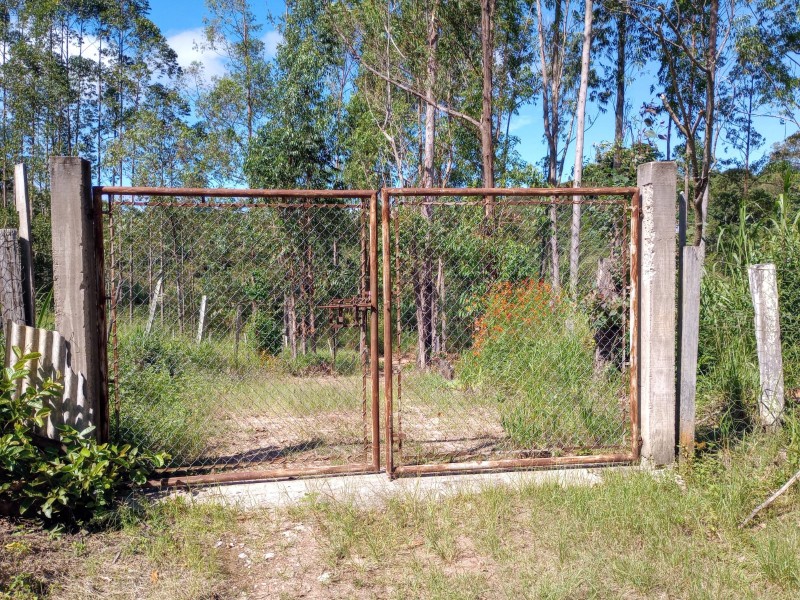 Sítio passa quatro 