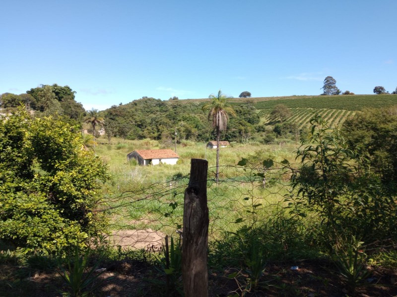 Sítio passa quatro 